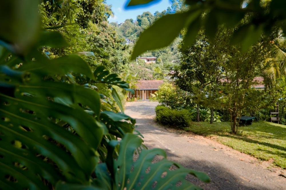 Clove Garden Kandy Buitenkant foto